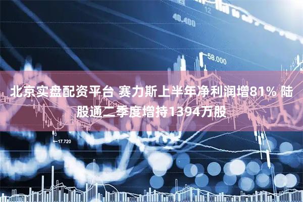 北京实盘配资平台 赛力斯上半年净利润增81% 陆股通二季度增持1394万股