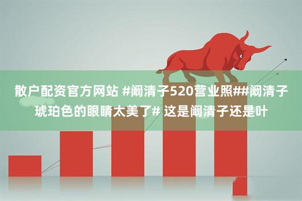 散户配资官方网站 #阚清子520营业照##阚清子琥珀色的眼睛太美了# 这是阚清子还是叶